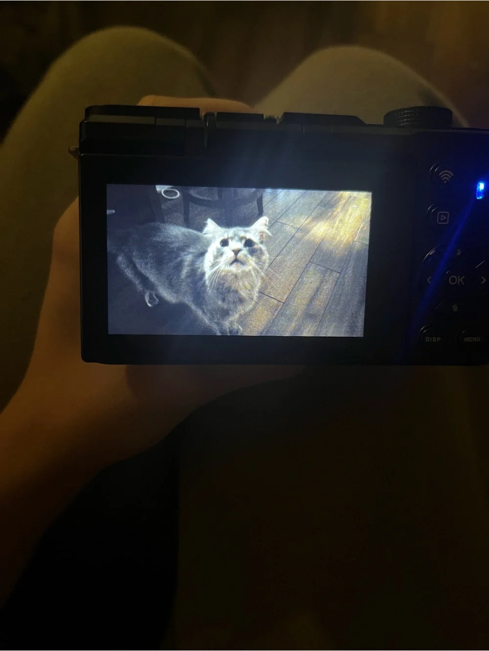 8k digital camera